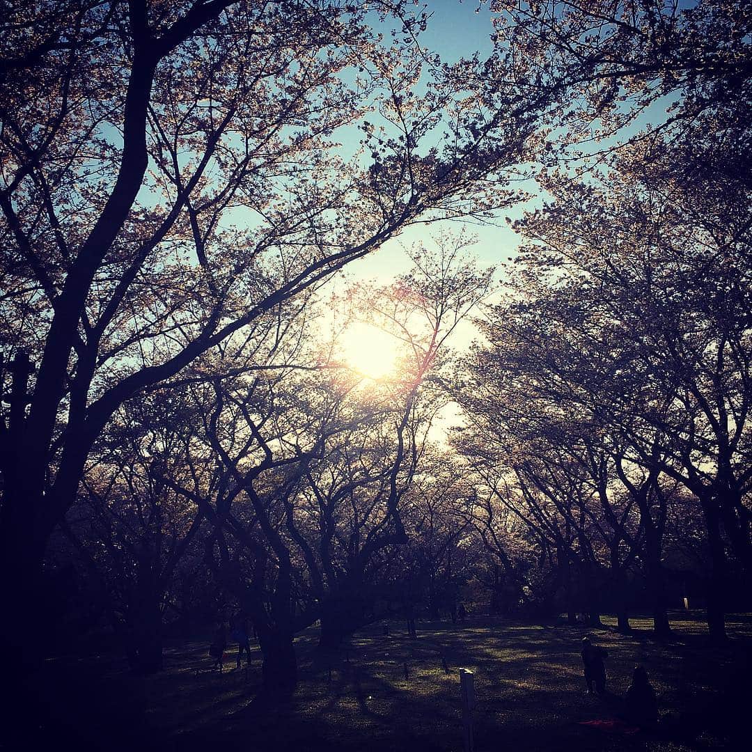 金子ノブアキさんのインスタグラム写真 - (金子ノブアキInstagram)「良い時代にしましょう。  #令和」5月1日 21時42分 - nobuakikaneko_official