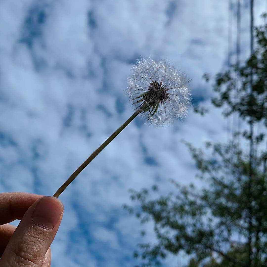 七海ひろきさんのインスタグラム写真 - (七海ひろきInstagram)「☆ 平成最後の初日の出. 平成最後の満月. 宝塚に恋をした平成. 心から 心から ありがとう.  そして令和の朝. 曇り空から見える青空の美しさ.  皆さま令和の時代も. どうぞ宜しくお願いします！！. . P.S  4月の満月は. ピンクムーンって言うらしい.  知ってた？！. . #平成最後 #令和 #令和カラー」5月1日 21時54分 - hirokinanami773