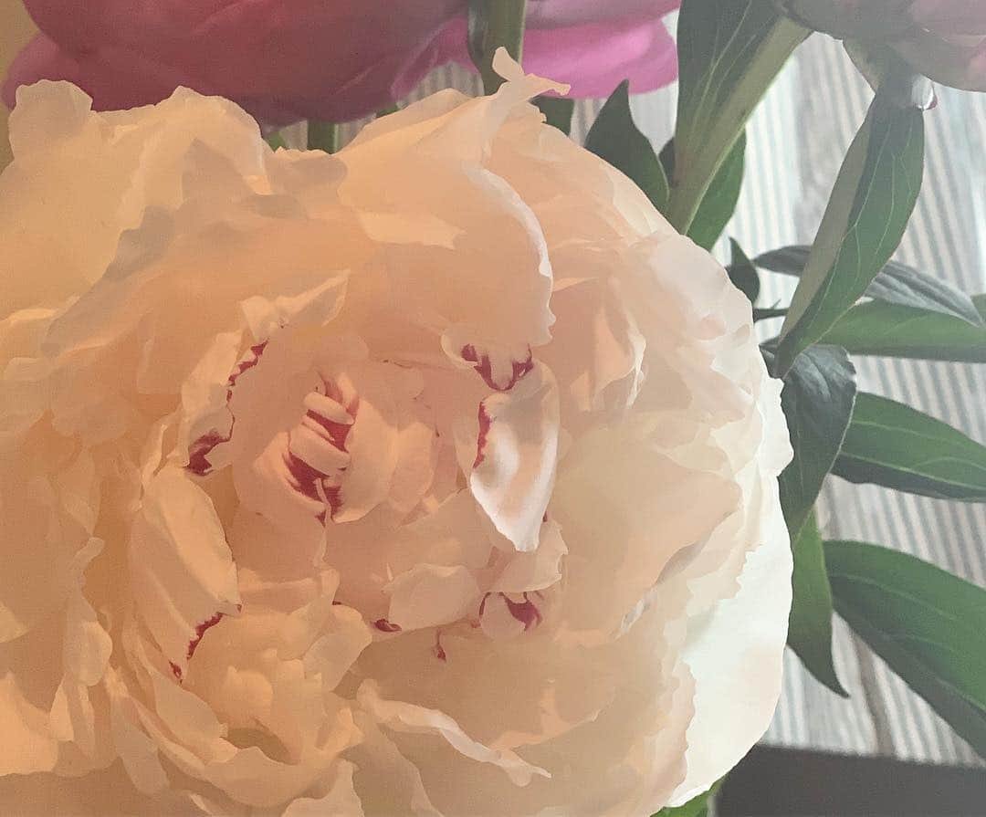 青山有紀さんのインスタグラム写真 - (青山有紀Instagram)「令和は女性性をさらに開く時代にしていきたい🌹🌷 わたしも変わる覚悟ができています✨ 新しい時代、みんなで美しい花を咲かせましょう🌸🌼💐✨🌸✨🌼✨」5月1日 22時13分 - yukiaoya