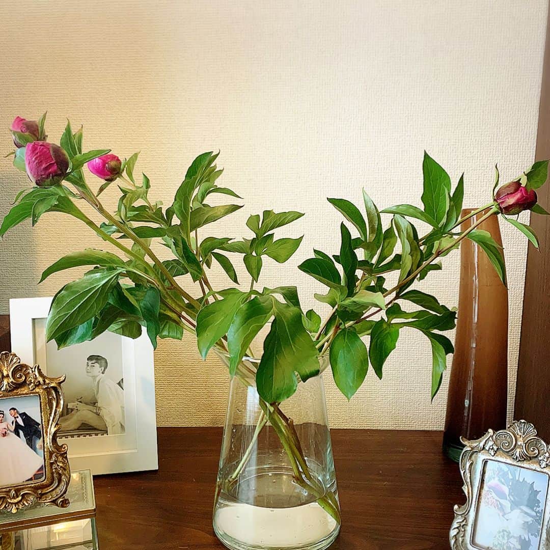 服部水季さんのインスタグラム写真 - (服部水季Instagram)「【令和】  令和を迎える0時前、主人と神棚の前で黙祷をしてその時を待ちました。  令和、最初のお花を頂きました💐 フレッシュな緑に芍薬の可愛い蕾。 お花の咲く前の蕾って私好きなんだ^_^」5月1日 14時28分 - yoginimizuki