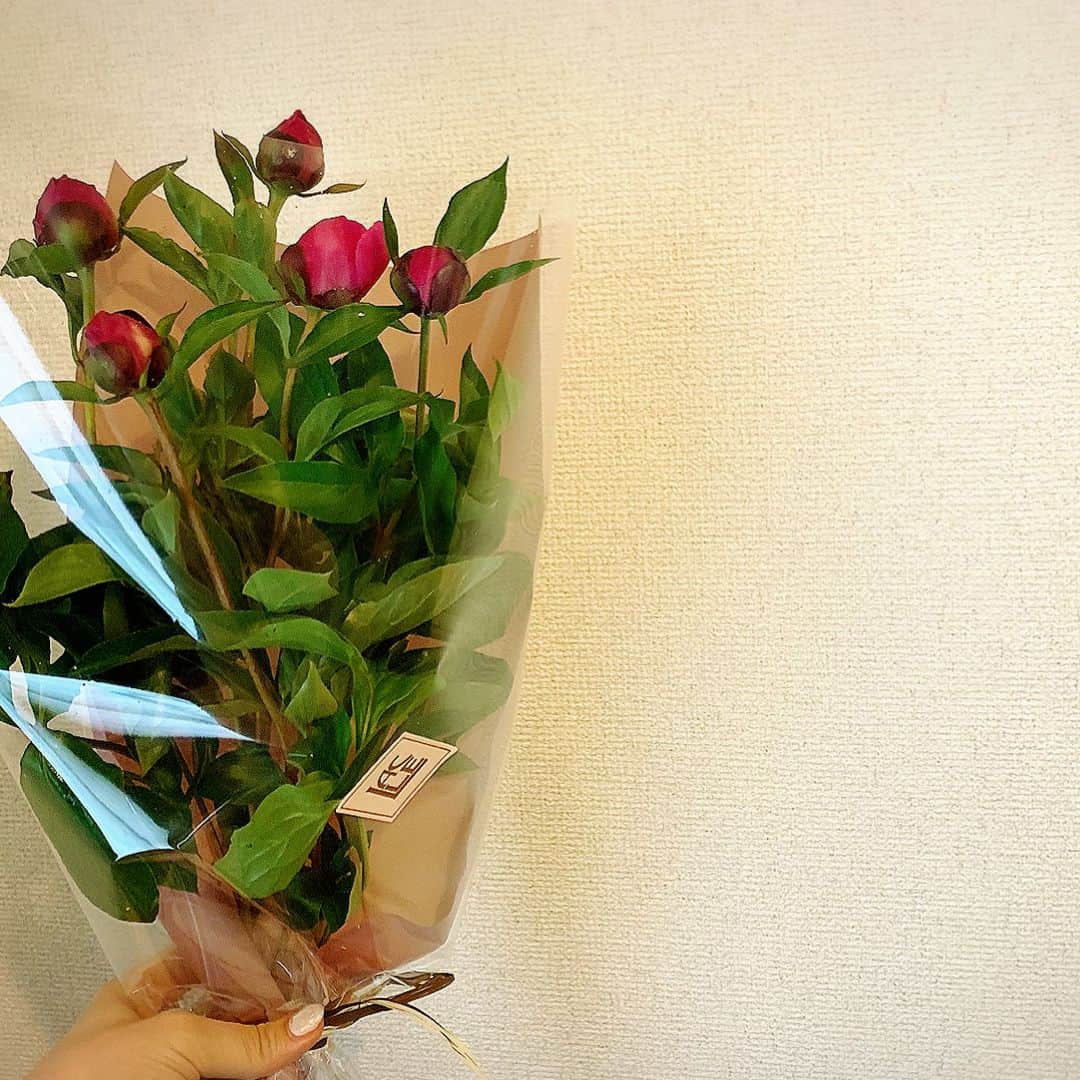 服部水季さんのインスタグラム写真 - (服部水季Instagram)「【令和】  令和を迎える0時前、主人と神棚の前で黙祷をしてその時を待ちました。  令和、最初のお花を頂きました💐 フレッシュな緑に芍薬の可愛い蕾。 お花の咲く前の蕾って私好きなんだ^_^」5月1日 14時28分 - yoginimizuki