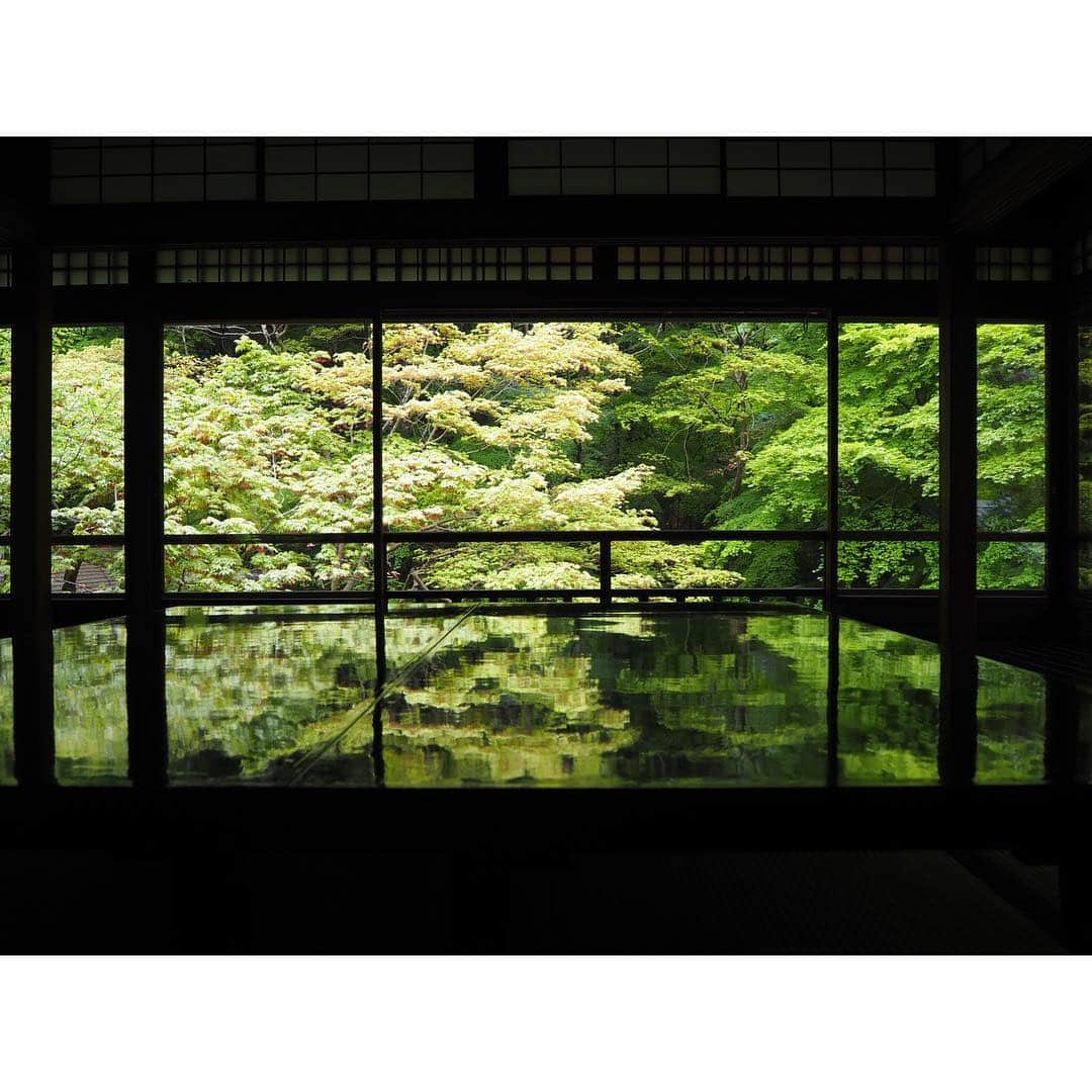 根岸由香里さんのインスタグラム写真 - (根岸由香里Instagram)「. 新緑 青紅葉。  雨の後は緑が綺麗。」5月1日 14時12分 - yukarinegishi