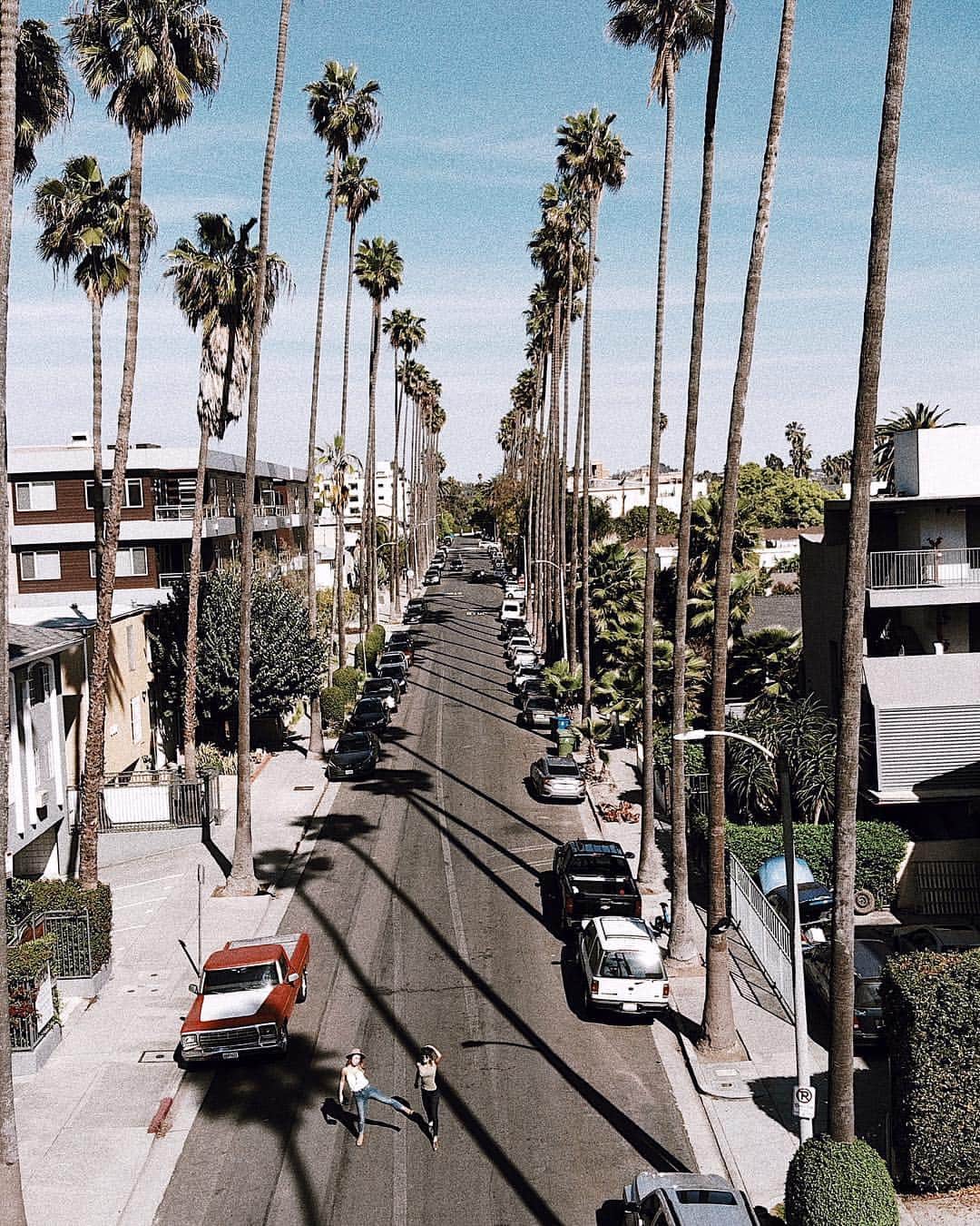 Manamiさんのインスタグラム写真 - (ManamiInstagram)「🌴🌴🌴 ひょろーーーーーんって細長い このPalm treeがたまらなく好き💕 California!って感じ💕 ㅤ 📸 @dji_japan #djimavicair #mavicair」5月1日 14時36分 - manashika