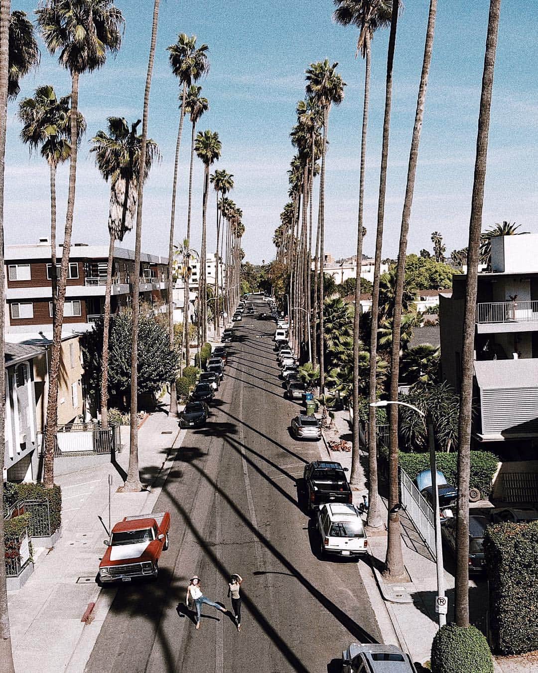 Manamiのインスタグラム：「🌴🌴🌴 ひょろーーーーーんって細長い このPalm treeがたまらなく好き💕 California!って感じ💕 ㅤ 📸 @dji_japan #djimavicair #mavicair」