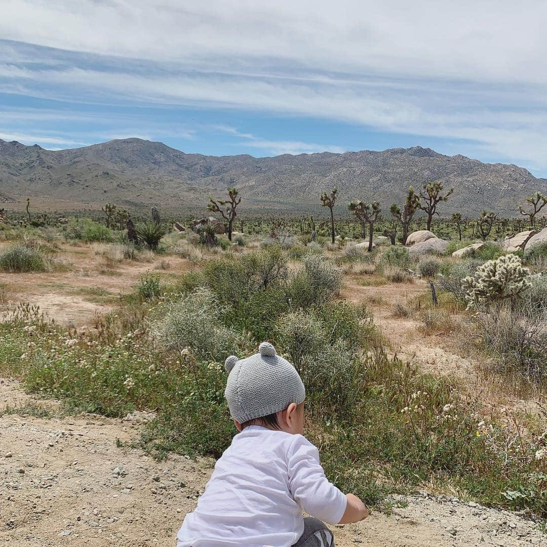 吉川ひなのさんのインスタグラム写真 - (吉川ひなのInstagram)「Joshua tree♥️ アメリカ大陸の壮大さ🙌🏻 絶景とか、お買い物とか、キャンプ場とか、オーガニックカフェとかとか、アメリカ大陸でのおすすめがあったら、みなさまぜひ教えてください😊」5月1日 14時33分 - hinanoyoshikawa