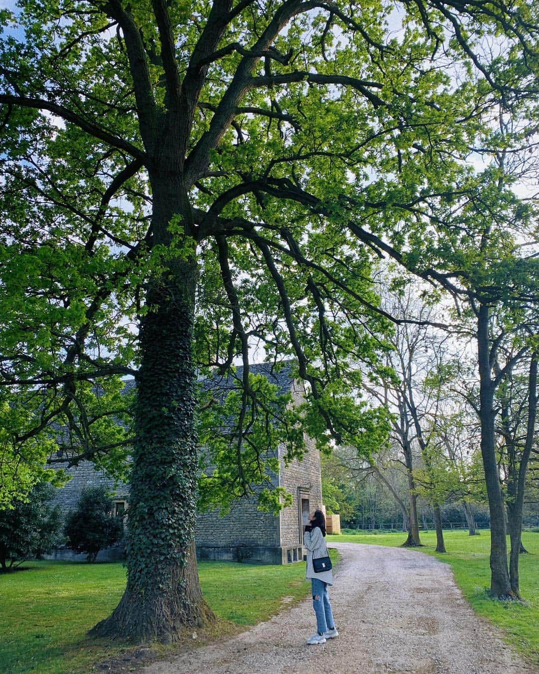 リウ・ウェンのインスタグラム：「Moments in the countryside 🌳」