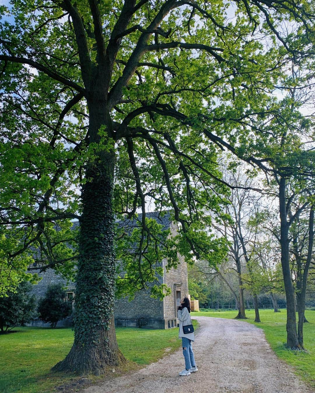 リウ・ウェンさんのインスタグラム写真 - (リウ・ウェンInstagram)「Moments in the countryside 🌳」5月1日 14時41分 - liuwenlw