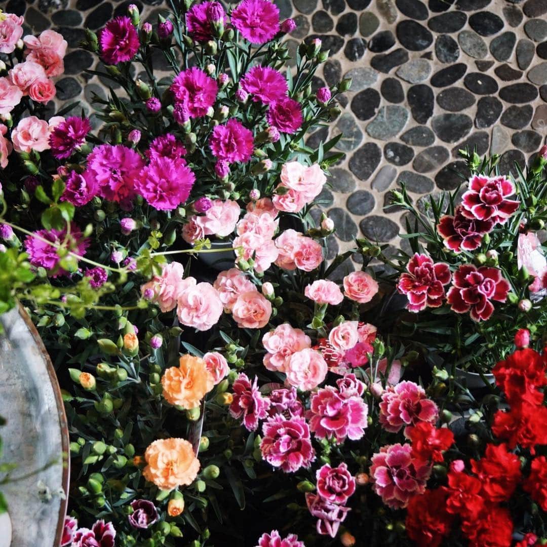 MILLE ECLAT.のグルメインスタ