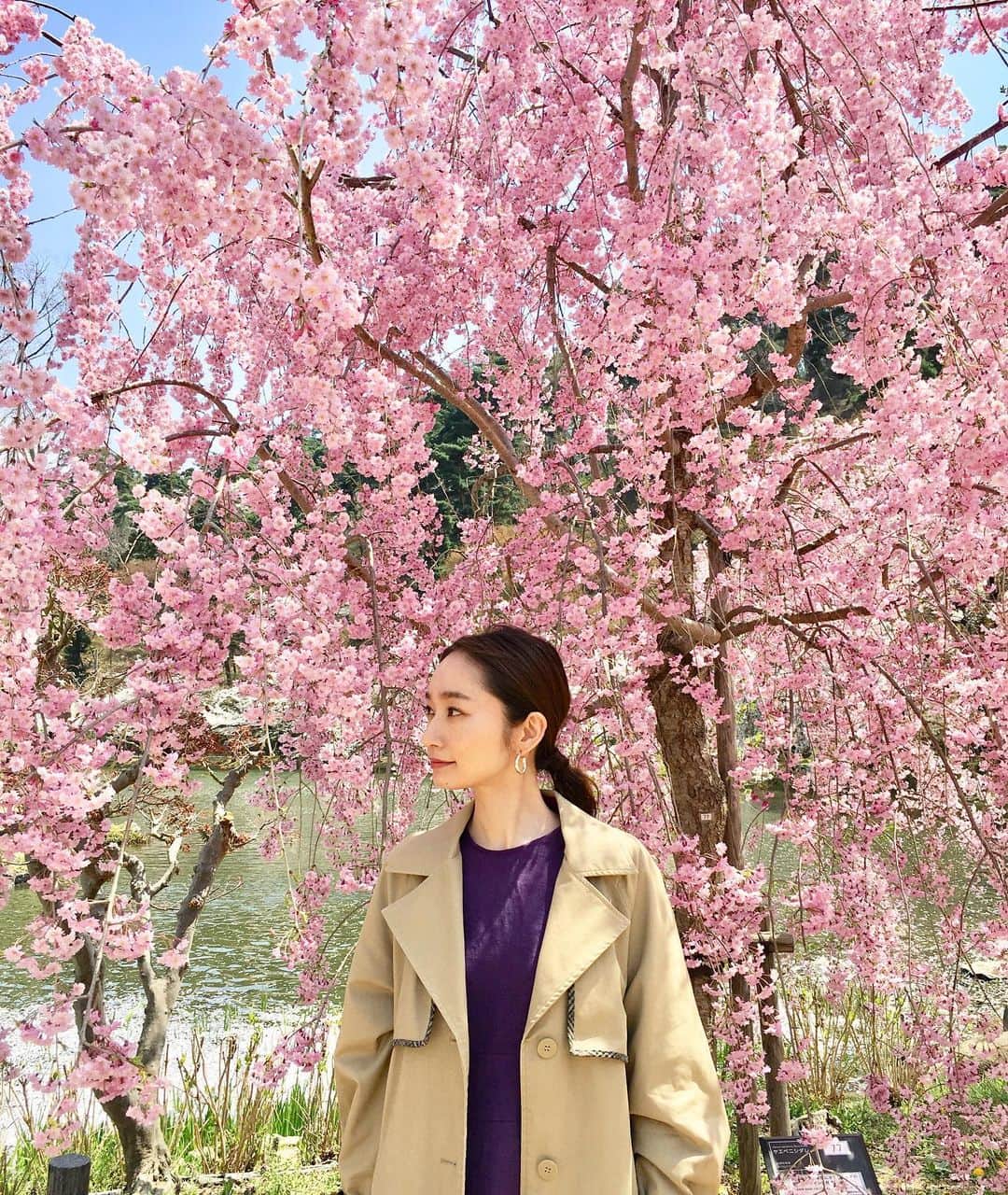 落合砂央里さんのインスタグラム写真 - (落合砂央里Instagram)「渋温泉の帰りは長野市の臥竜公園の桜祭りへ🌸 ちょうど満開でとってもキレイでした♡ 長野はGW中に桜の見頃を迎える場所もあるかな？ 軽井沢に寄り道して軽井沢コーヒーカンパニーで白いコーヒーソフトを食べたり🍦 小布施ワイナリーに寄ったり、長野を満喫した旅になりました！ #長野 #臥竜公園 #小布施ワイナリー」5月1日 14時49分 - ochiaikun