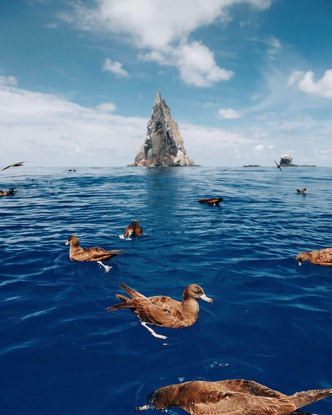 Australiaさんのインスタグラム写真 - (AustraliaInstagram)「Judging from the crowd, it’s clearly a nice day on the water on @lordhoweislandtourism! 🌊 According to @zeebachi, “not many people get the opportunity to experience being with such #wildlife in the middle of the ocean. We saw hundreds of short-tailed #shearwaters hunting and socialising together,” no wonder he called this “one of my favourite moments of 2019.” These Australian seabirds were out for a paddle in front of the striking #BallsPyramid formation, a  sight that can only be witnessed when these feathered creatures visit the island between September and May on their yearly migration. You definitely want to come armed with your camera and sense of adventure for all the special wildlife encounters you’ll have on this @visitnsw island.  #seeaustralia #NewSouthWales #LordHoweIsland #travel #wildlifephotography」5月1日 15時00分 - australia