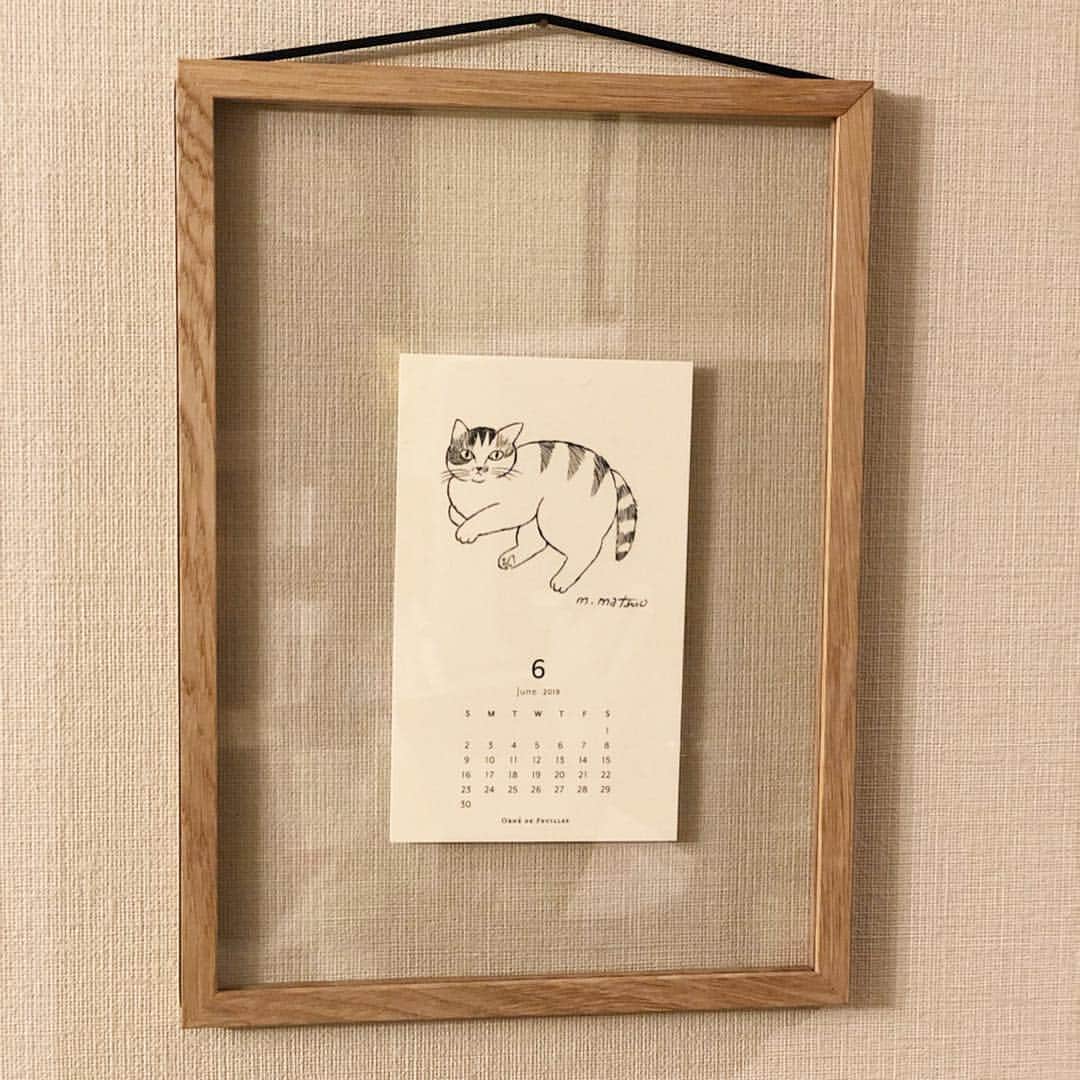 tomokoさんのインスタグラム写真 - (tomokoInstagram)「. ねね子がカレンダーになりました。 . しかもなんと #松尾ミユキ さんに描いていただきました！ . オルネドフォイユ webショップまたは不動前、吉祥寺店でお買い物するとノベルティでついてきます。(なくなり次第終了です。) 詳しくは @ornedefeuilles ご覧ください。 . #オルネドフォイユ #ornedefeuilles . #ドラねね #ブリティッシュショートヘア #britishshorthair #スコティッシュフォールド #scottishfold #三毛スコ #猫 #みんねこ #ペコねこ部 #猫山商事 #ねこすたぐらむ #にゃんすたぐらむ #ねこ部 #ふわもこ部 #ねこのきもち #instacat #catstagram #ilovemycat #instagramcats #meow #catsofinstagram #ilovecats #catlover #catoftheday #cutepets #petstagram #cat」5月1日 15時12分 - dora_me0416