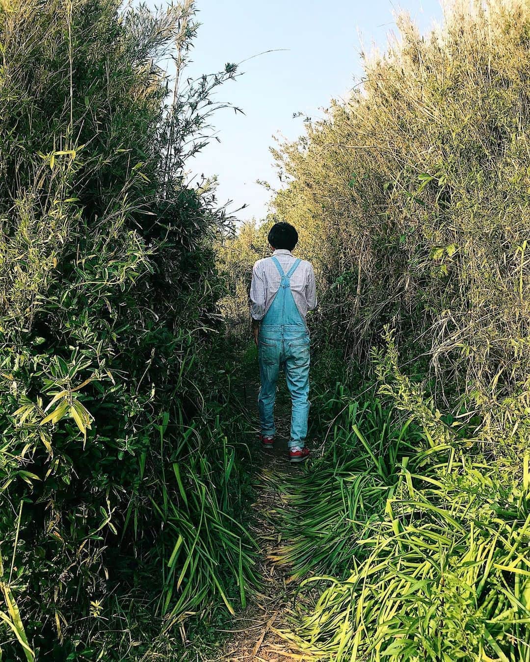 クレヨンだいちゃんのインスタグラム：「🌳🌳🌳 ㅤㅤㅤㅤㅤㅤㅤㅤㅤㅤㅤㅤㅤ ㅤㅤㅤㅤㅤㅤㅤㅤㅤㅤㅤㅤㅤ 城ヶ島公園を探検してきたー！ ㅤㅤㅤㅤㅤㅤㅤㅤㅤㅤㅤㅤㅤ ㅤㅤㅤㅤㅤㅤㅤㅤㅤㅤㅤㅤㅤ #島好きやわ  ㅤㅤㅤㅤㅤㅤㅤㅤㅤㅤㅤㅤㅤ」