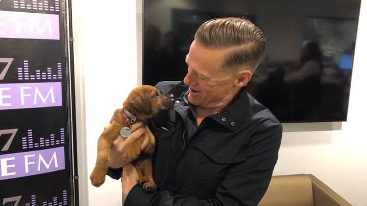 ブライアン・アダムスのインスタグラム：「Doing some press in NYC and North Shore Animal League America had puppies for adoption at the radio station. This little brown one caught my eye, I wish I could have taken her home. It was love a first sight 🐶 #ivegotmyrescueon #bryanadamsshinealight」
