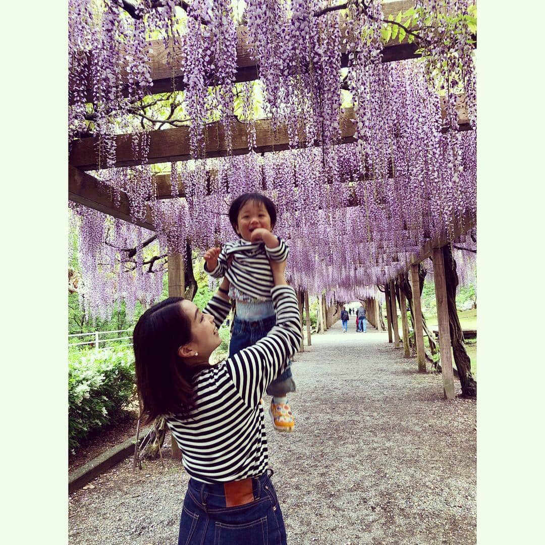 美甘子さんのインスタグラム写真 - (美甘子Instagram)「走りたがる甥っ子。 #甥っ子」5月1日 15時26分 - rekish_mikako