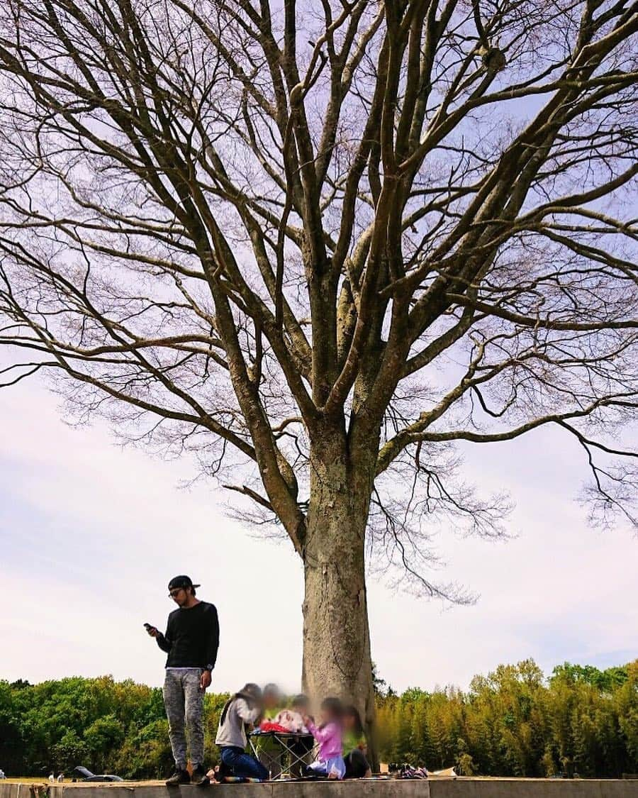 光永亮太さんのインスタグラム写真 - (光永亮太Instagram)「早くまたキャンプしたい。 サーフィンも出来たらなおよし。 次はいつ行けるかな。  #キャンプ #サーフィン #浄化と癒し #自然 #パワーチャージ #ネイチャー」5月1日 15時38分 - mitsunagaryota