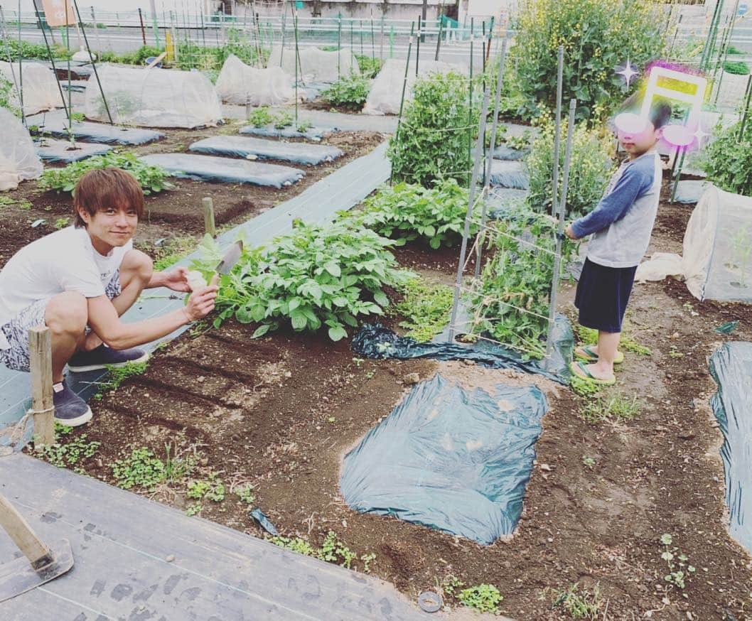 杉浦太陽さんのインスタグラム写真 - (杉浦太陽Instagram)「杉浦家の畑！ 手入れと植え付けと種蒔き！ ナス・ピーマン・トマト・カブ・サニーレタス・枝豆・イチゴ・スナップエンドウ・ジャガイモ！ 賑やかな夏になるぞ〜！ 令和野菜だね(^^) #杉浦家の畑 #夏野菜 #これから賑やか #大変だけど #やりがいあるね #令和野菜 だ！」5月1日 16時17分 - sugiurataiyou_official