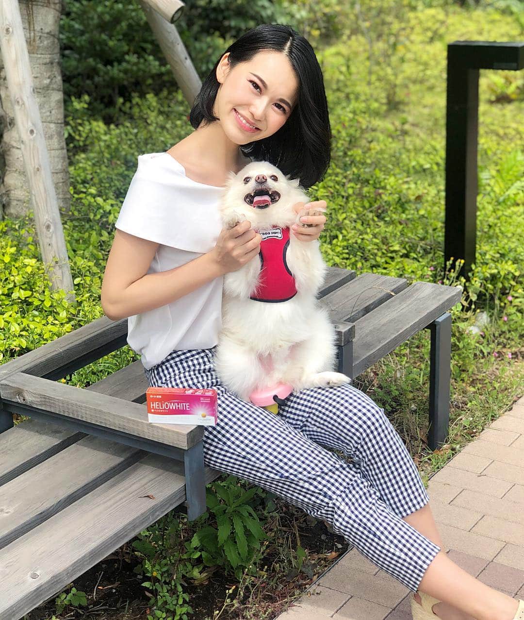 七尾エレナのインスタグラム：「ゴールデンウィーク前半は 風邪ひいて寝込んでたけど、今日やっと復活💪🏻✨ 寝込んでて行けてなかった ミルクとのお散歩を今朝たくさんしたよ✨ ＊ 夏のお散歩は、日焼けが怖いけど ヘリオホワイトを知ってからは心強い😇 日焼け止めクリームは汗ですぐ落ちちゃうから 内側からも紫外線対策✨ ＊ #愛犬 #ミルク #犬とお散歩 #gw #ゴールデンウィーク #連休 #わんこ #お散歩 #dog #dogstagram #ヘリオホワイト #日焼け対策 #美活 #紫外線対策 #ロート製薬 #PR」