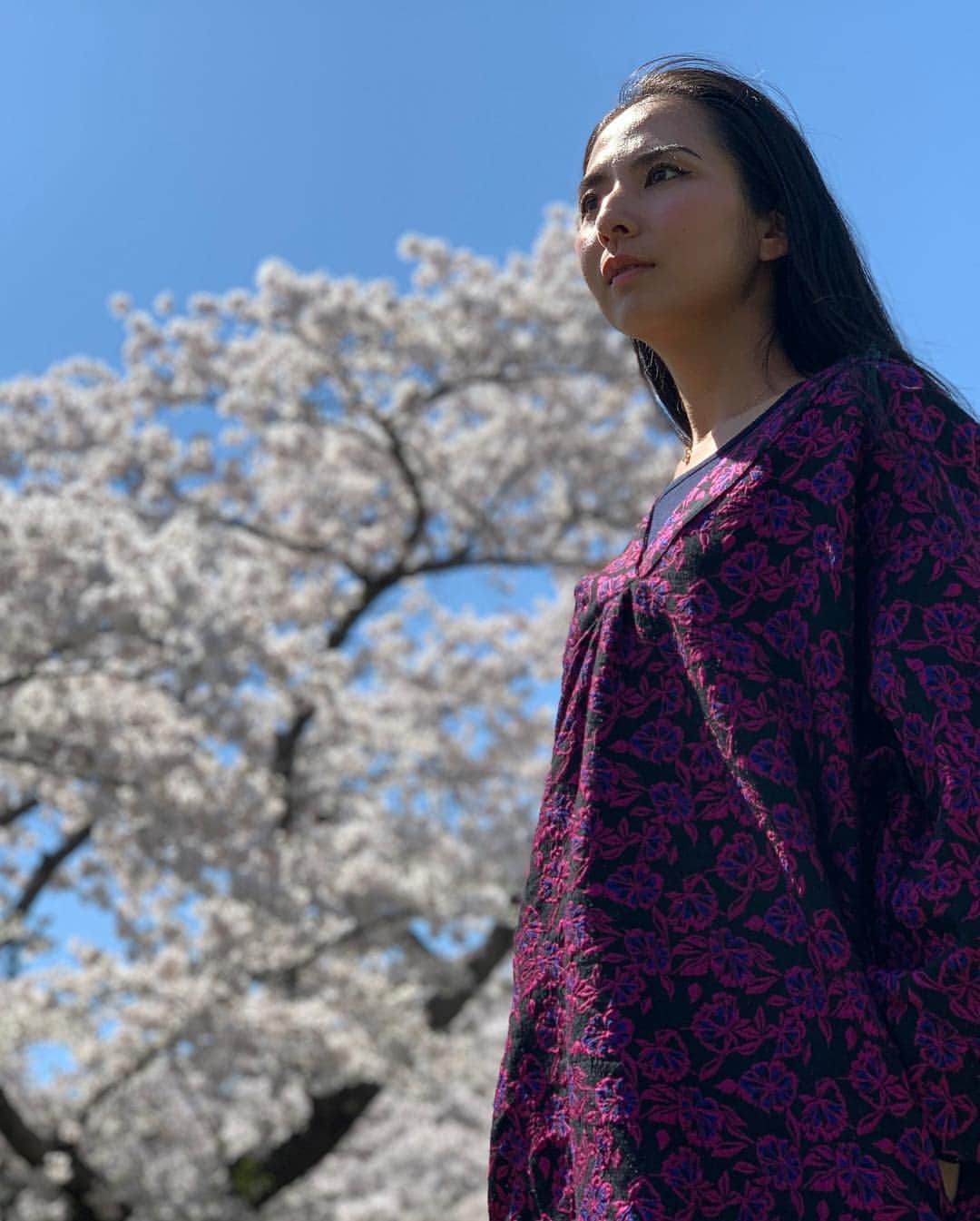 芥川舞子さんのインスタグラム写真 - (芥川舞子Instagram)「青森番外編。 ・ 初日の夜桜と、３日目の日中桜を両方楽しむことができました。」5月1日 16時53分 - maiko.akutagawa