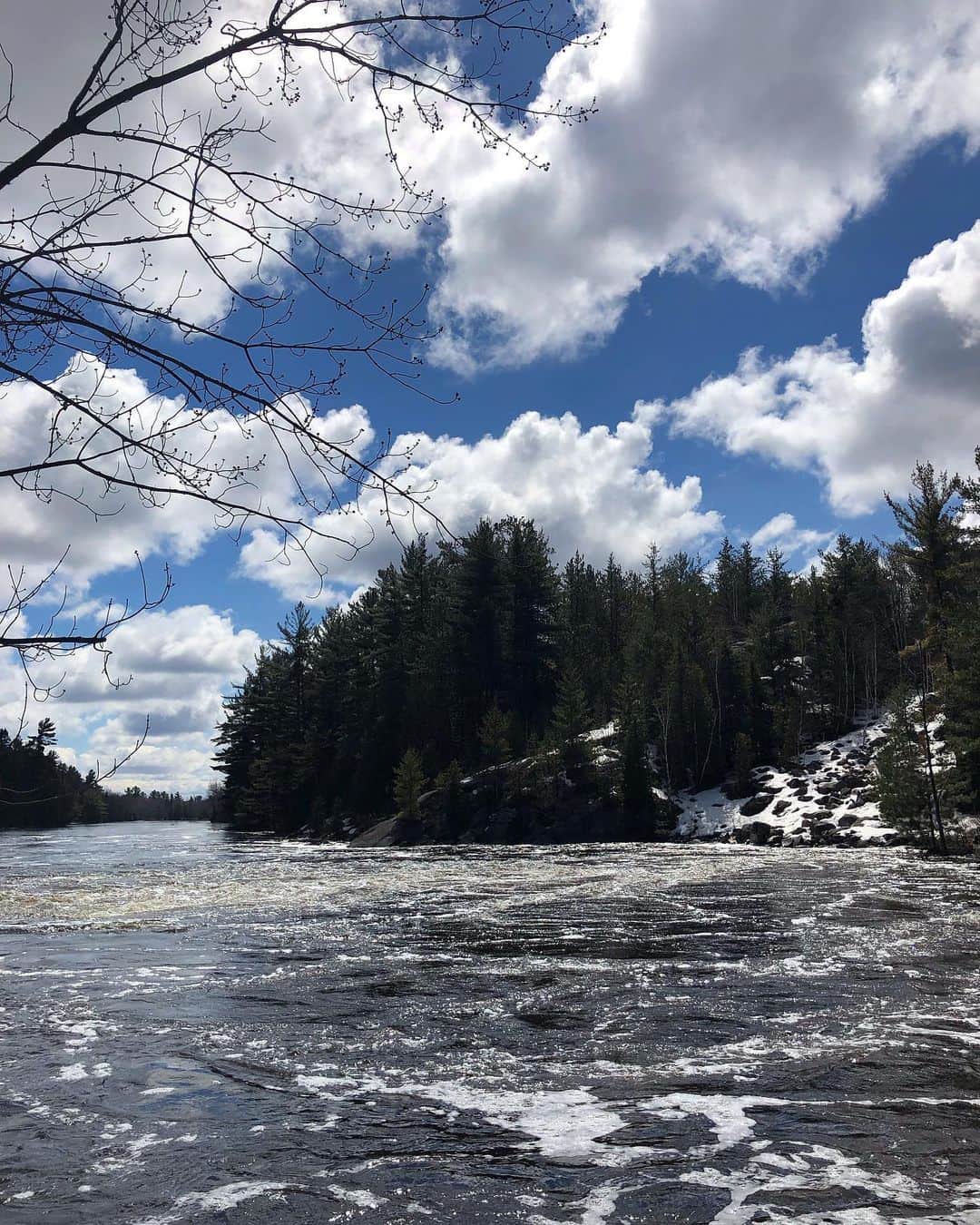 アナベル・ウォーリスのインスタグラム：「Hi Canadian wilderness #Thesilencing 🎥」