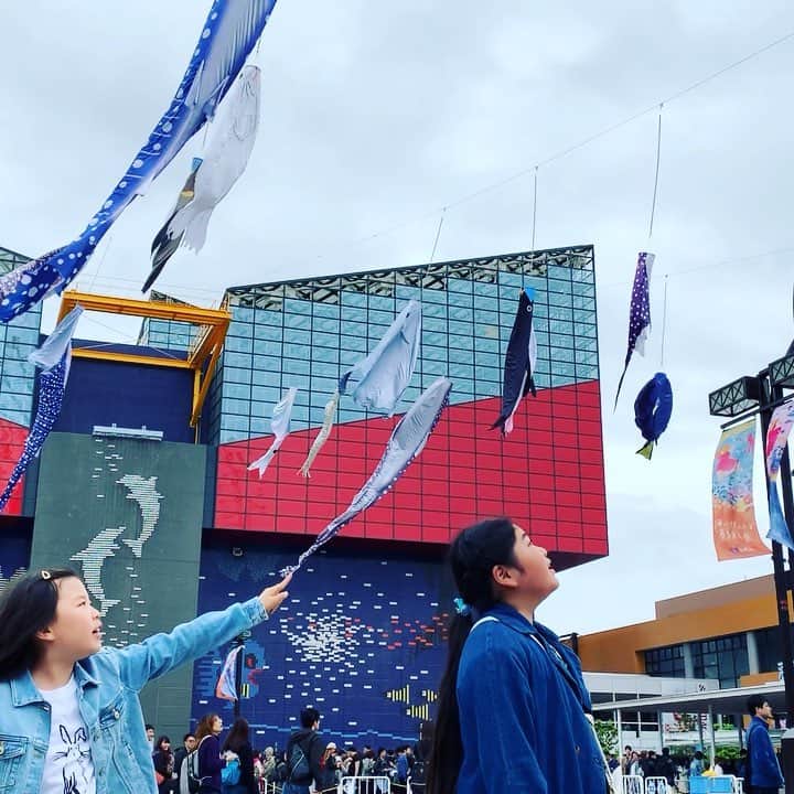 河島あみるのインスタグラム