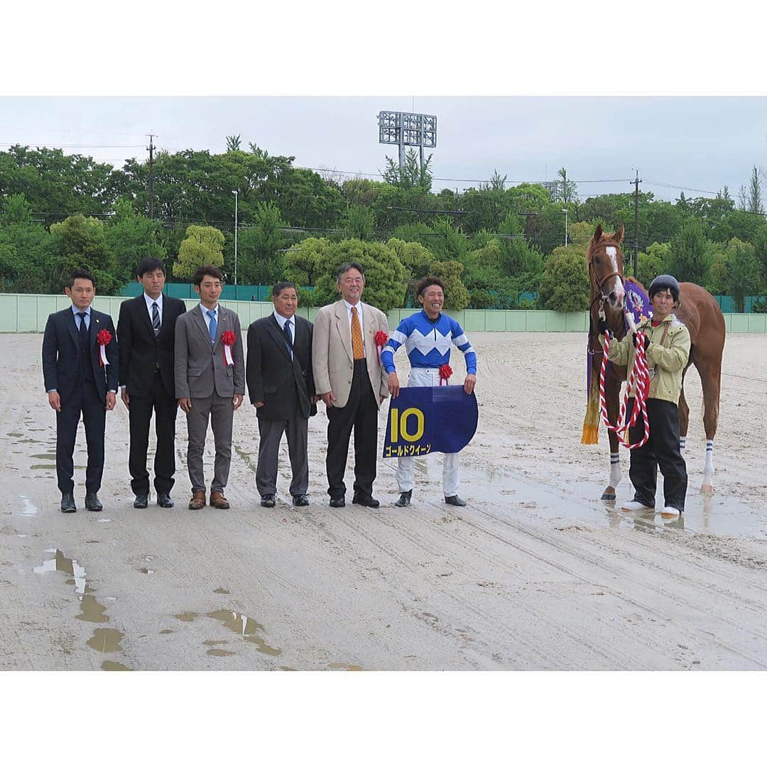 津田麻莉奈さんのインスタグラム写真 - (津田麻莉奈Instagram)「第21回かきつばた記念 勝ったのは、ゴールドクイーン‼️🏇💨✨ ⁑ 「行ききってからは自分で息を入れながら走ってくれた」と、古川騎手。 本当に見事な逃げ切り勝ちでした。坂口智康厩舎は3月に開業されて3勝目がダートグレード制覇となりました👏 関係者の皆さま、おめでとうございます！！😊🎉 ⁑ ⁑ #トークショーありがとうございました #かきつばた記念 #ゴールドクイーン #名古屋競馬場  #名古屋競馬 #名古屋  #競馬 #地方競馬  #まりなる #津田麻莉奈」5月1日 17時55分 - tsudamarinal