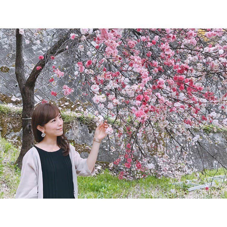 大谷朋子さんのインスタグラム写真 - (大谷朋子Instagram)「♡ * 令和スタート🌸 * 大好きな花桃の木が 令和の始まりにぴったり♡♡ * 新しい時代もよろしくお願いします◡̈⃝ * 可愛くてずっと気になっていた木。 「花桃」という名前でした🌸 * * そうそう、令和を迎える前に @damiabylulu の @sasakijunichi さんにカラーしてもらいました♡ いい色でお気に入り❤︎ * * #令和元年 #令和よろしく #Reiwa #花桃 #はなもも」5月1日 18時09分 - tomoko_ohtani