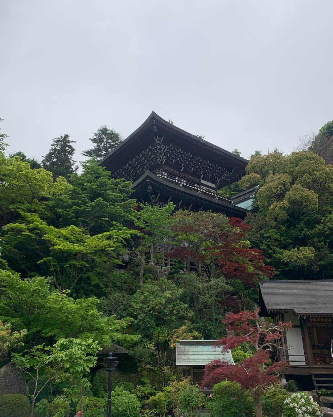 杉原勇武さんのインスタグラム写真 - (杉原勇武Instagram)「宮島大聖院。」5月1日 18時11分 - isamu_katayama