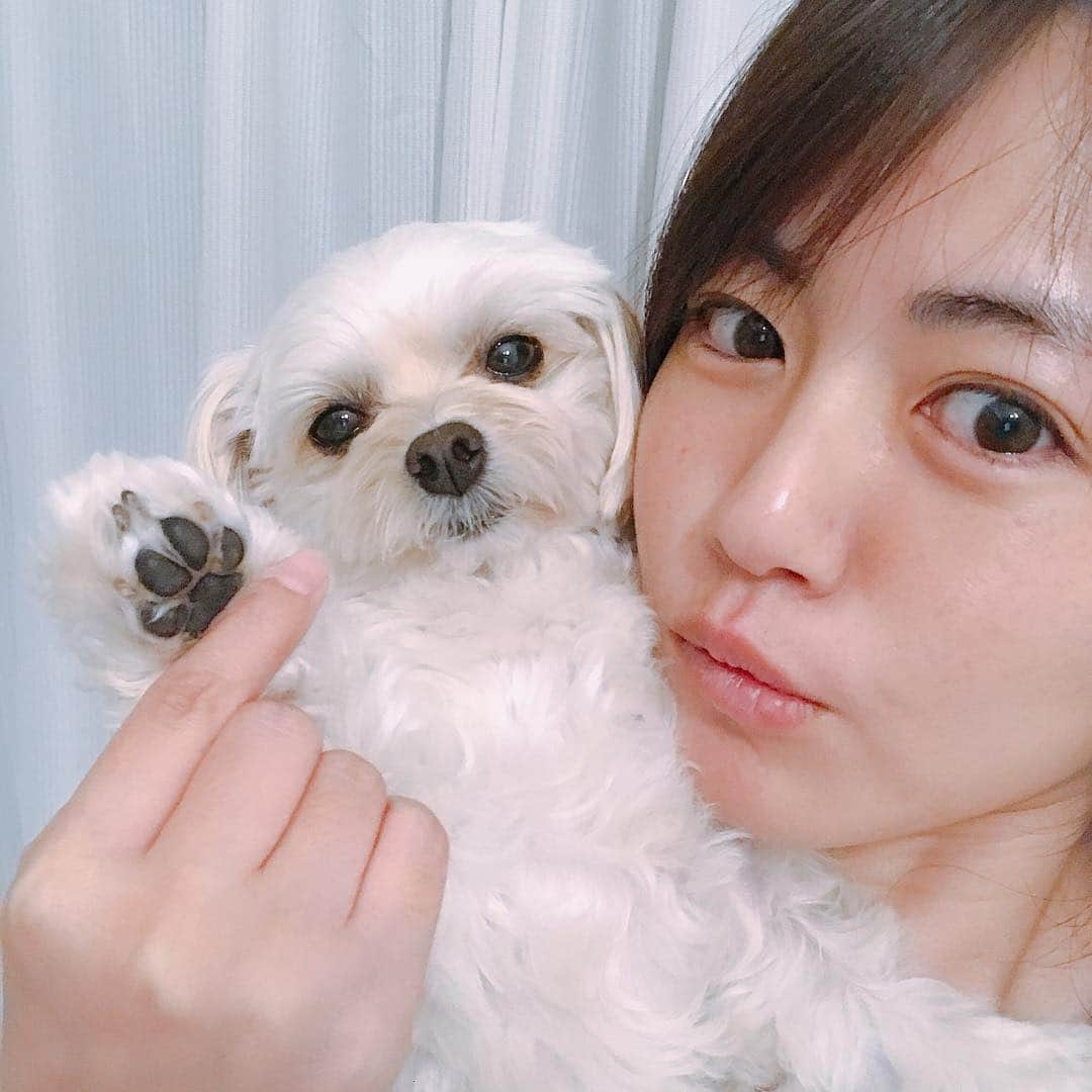 磯山さやかのインスタグラム