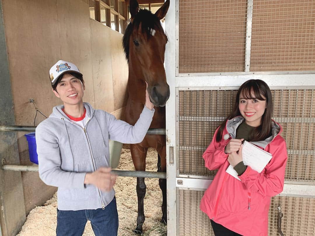國嶋絢香のインスタグラム：「#令和 初日は、トレまるでした✨ NHKマイルC🏇に出走するヴァルディゼールと渡辺薫彦調教師、そして北村友一騎手にお話を聞くことが出来ました😆💞 . 隣の馬房には2週間後にオークスを控えているシゲルピンクダイヤちゃんが居て、2頭の性格が違いすぎて面白かった😜 . ヴァルディゼール君は、おっとりした男の子 ピンクダイヤちゃんは、かなり激しめのレディ😂 先生と戯れ合う姿にほっこりしました💞 . 今週の放送もお楽しみにです🎶 . #今週も水曜日に雨  #先週も雨 #来週も今のところ雨予報 #誰ですか？笑 #みんな大好き渡辺先生 #ありがとうございました」