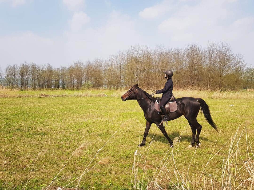 ソヒョン さんのインスタグラム写真 - (ソヒョン Instagram)「하...😍 너무 멋있고 정말 행복했다 👏👏👏👏👏👏 잘 타고 싶다......ㅠㅠㅠㅠㅠ #horsebackriding  #외승 #horse #🐎」5月1日 19時13分 - kkwonsso_94