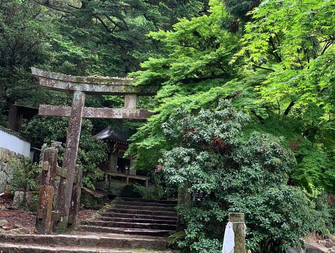 大隅智子さんのインスタグラム写真 - (大隅智子Instagram)「宮島で歩いて食べて飲みました！宮本ちゃんとカッシーと三人で令和元年の初日に再会できました！」5月1日 19時13分 - tomokotenki