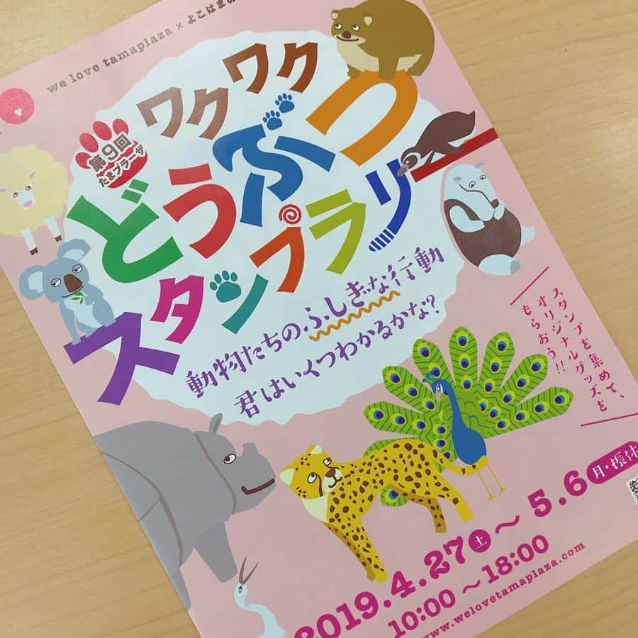 たまプラーザ テラスさんのインスタグラム写真 - (たまプラーザ テラスInstagram)「たまプラーザの街では、ワクワクどうぶつスタンプラリーを開催中！🐏 _ たまプラーザの街のラリーポイントを巡って、オリジナルグッズをゲットしよう！ たまプラーザ テラスではゲートプラザ3F ABCクッキンズスタジオ横に設置しています！ _ スタンプも色んなどうぶつで可愛いので要チェック🐧🐻💕 #たまプラーザ #たまプラーザテラス #tamaplaza #tamaplazaterrace #GW #goldenweek #10連休 #わくわくどうぶつスタンプラリー #welovetamaplaza #よこはまのどうぶつえん  #スタンプラリー #どうぶつスタンプ #オリジナルグッズをゲットしよう😊」5月1日 19時32分 - tamaplaza_terrace