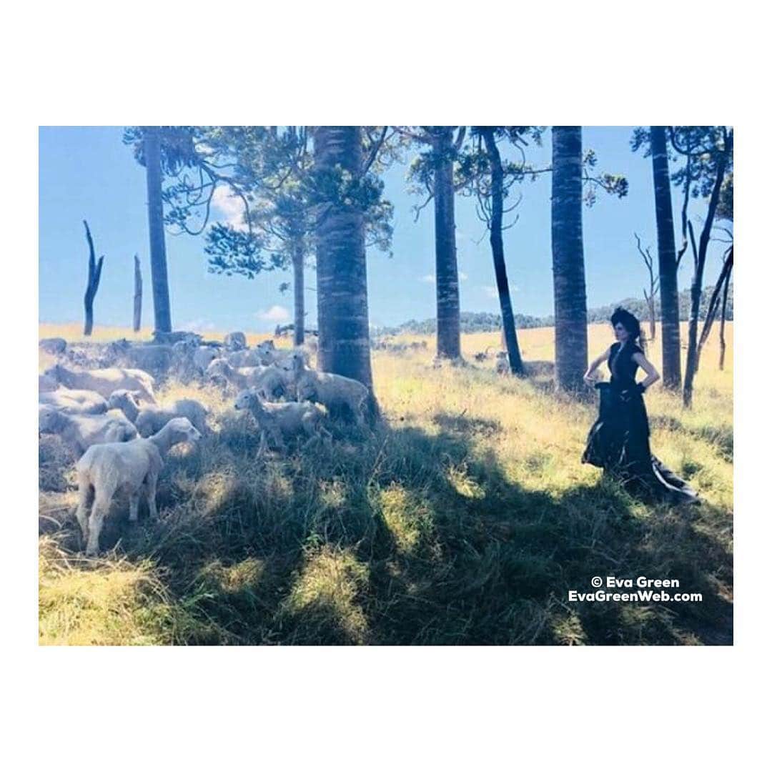 エヴァ・グリーンさんのインスタグラム写真 - (エヴァ・グリーンInstagram)「Me attempting some sheep-bonding on the Luminaries set 🖤🐑🖤 Post shared by Eva」5月1日 19時38分 - evagreenweb