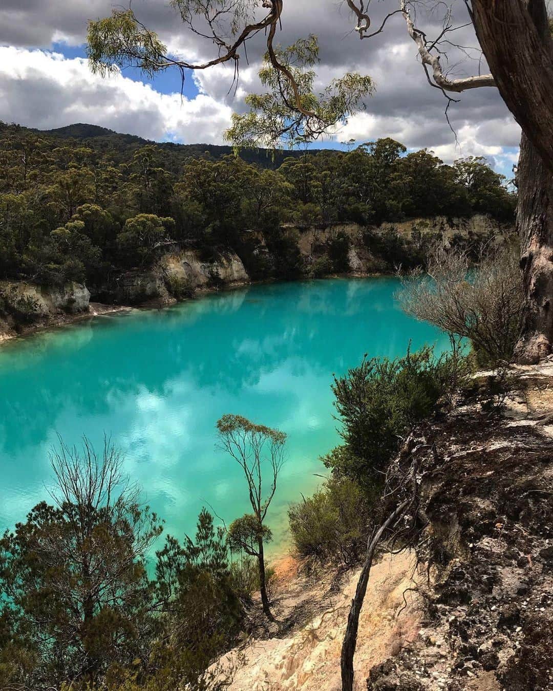 Australiaさんのインスタグラム写真 - (AustraliaInstagram)「That’s a nice pop of blue you got there, @tasmania! 💙 @bitterichtungmeer enjoyed discovering the aptly named #LittleBlueLake in @northerntasmania, which is a two-hour drive from #Launceston. The lake’s vivid turquoise colour comes from the high mineral content in the water, so while swimming is not an option here, it’s a great spot to throw down a picnic rug and have a feast of locally-produced goodies while admiring the view. TIP: This lovely spot can easily be a pit stop on your way to #MtWilliamNationalPark, which is only a further 45-minute drive and is home to loads of stunning natural scenery.  #seeaustralia #discovertasmania #northerntasmania #travel #naturephotography」5月1日 20時00分 - australia