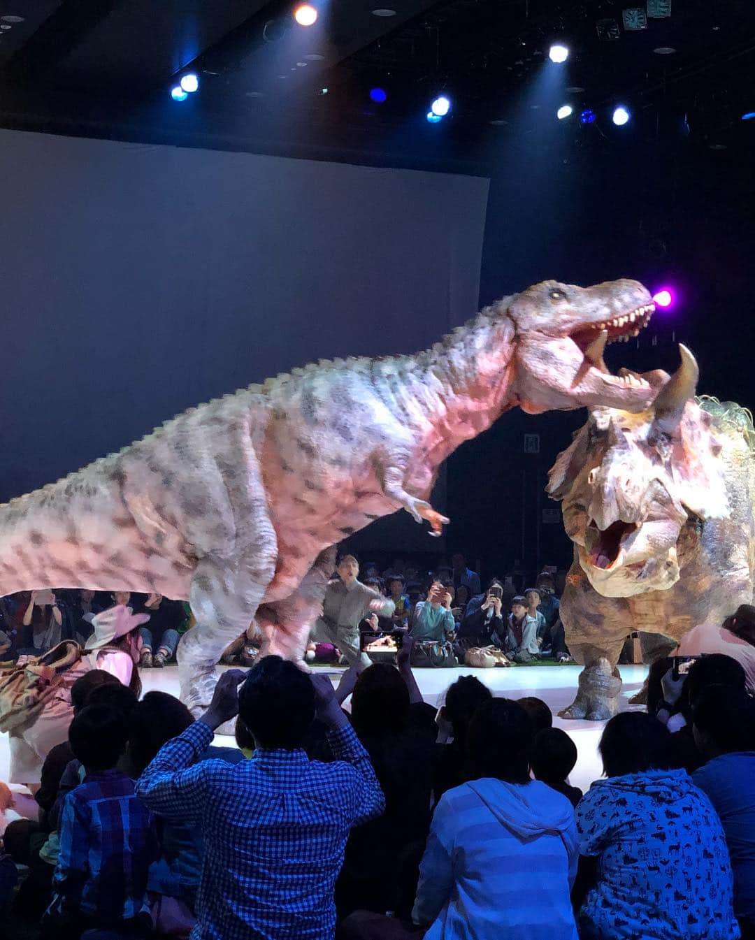 中岡由佳さんのインスタグラム写真 - (中岡由佳Instagram)「恐竜ライブ ディノサファリ面白かった！トリケラトプスの赤ちゃんが気に入ってお土産に。 #dinosafari #japanese」5月1日 20時13分 - yuka_nakaoka