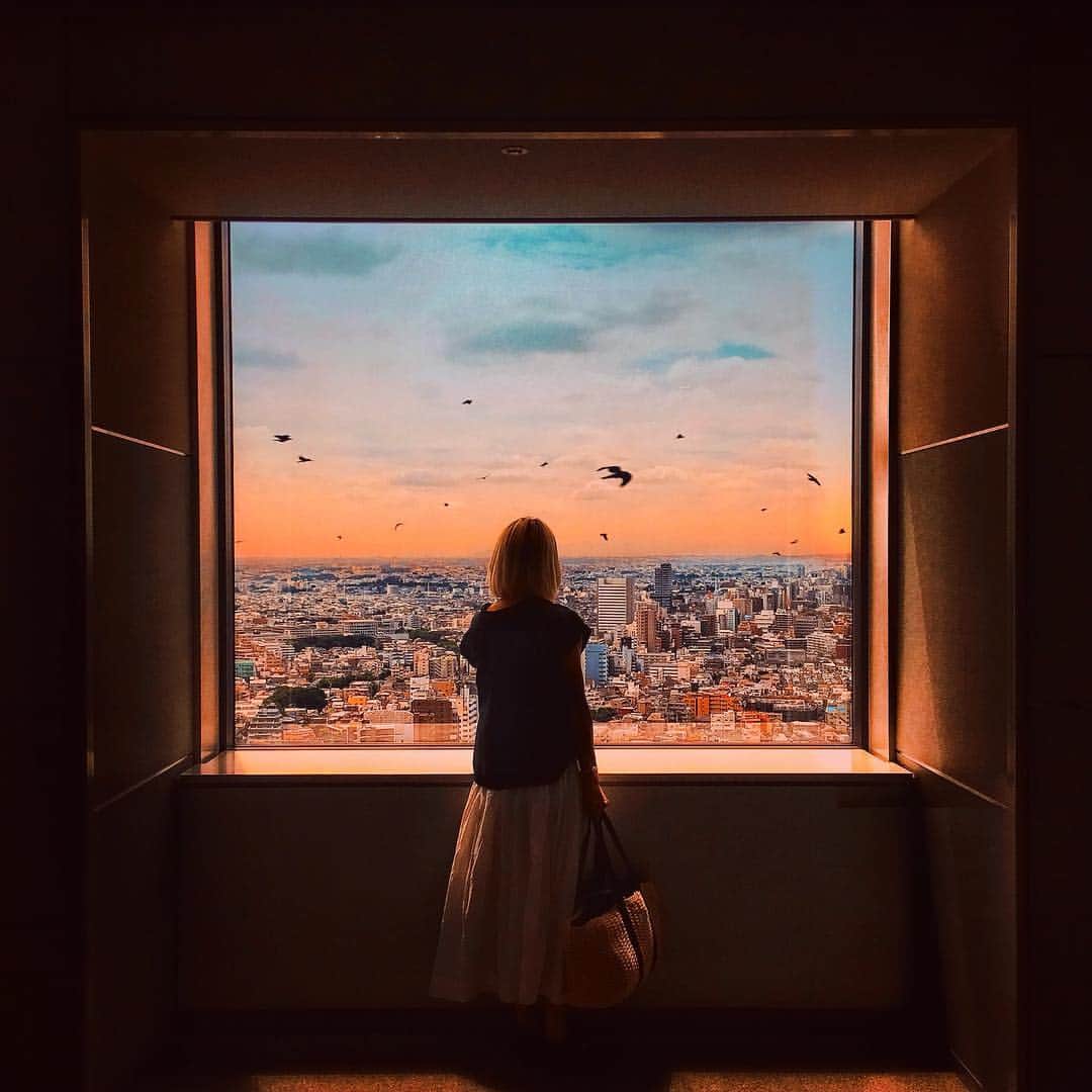 wacameraのインスタグラム：「ときどきあなたに投げかけてみる言葉に真摯に答えてくれるのか、はぐらかすのか。窓の外をぼんやり眺めながらそういえば一度も望む答えは返ってきてないことを、帰路に急ぐ足と鳥の羽ばたきを見ながら考えた。」