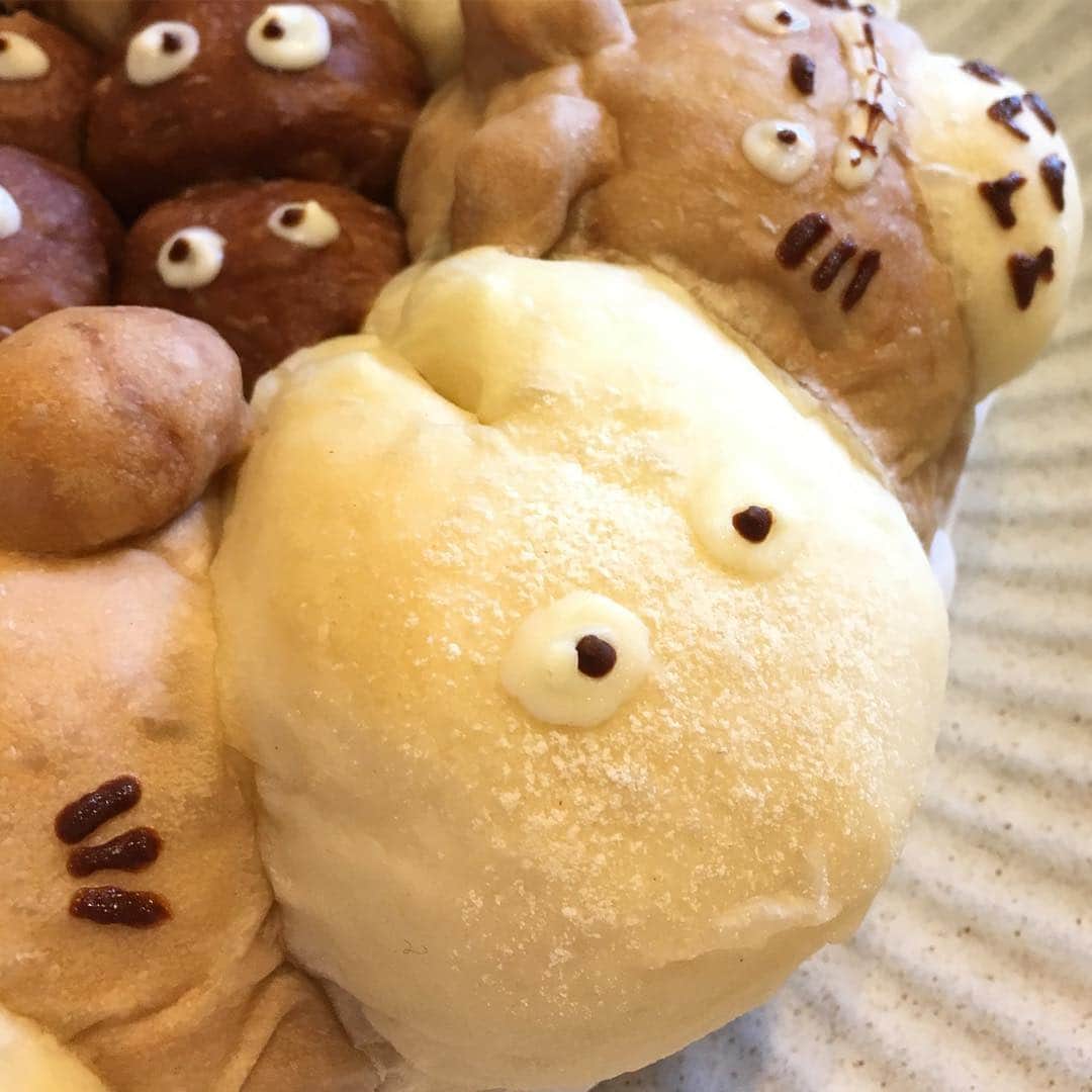 小林千鶴さんのインスタグラム写真 - (小林千鶴Instagram)「だ〜い好きなジブリで ちぎりパン作ったよ🌳 祝令和記念！ 祝Twitterfollower1万記念！ パン作りは楽しいね。  #ジブリ #トトロ #まっくろくろすけ #手作りパン #ちぎりパン #令和記念 #ありがとう小魚ちゃん」5月1日 20時29分 - 5884_chizuru