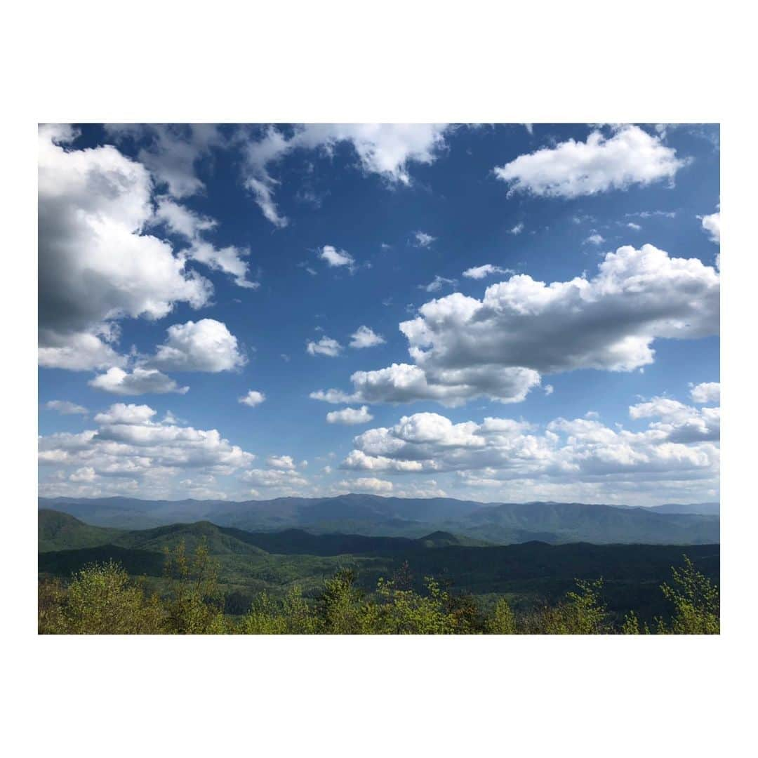 ジェシー・ベイリンさんのインスタグラム写真 - (ジェシー・ベイリンInstagram)「By happenstance I somehow had the gift of getting to sing songs not once but twice this past month at a new Tennessee treasure spot, @blackberry.mountain . The first time with @grdovic, @chefaz & @faviawines - and then just this past weekend with @gwynethpaltrow & @goop.  I can’t tell you how much I needed these moments, dusting off the music for new and old friends - and also enjoying the stillness and majesty of the mountain. It filled my cup to the brim. Thank you to the whole staff at blackberry, my dear friend @marycelestebf (love you) and for the universe for providing this opportunity to reconnect and reset. 🤞🏼🙌🏼」5月1日 20時36分 - jezziebaylin