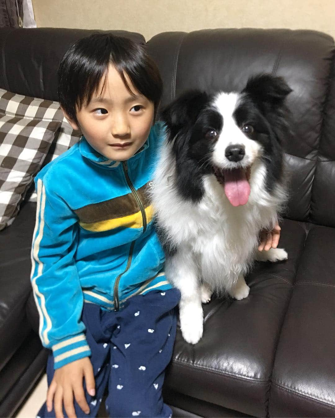 犬バカ部宣伝部長さんのインスタグラム写真 - (犬バカ部宣伝部長Instagram)「兄貴の子供（7歳）とそら（10歳）﻿ ちょうどいいサイズ感たち🤣﻿ ﻿ そらって隙間あけたら寄りかかるのよね🤪﻿ ﻿ #犬バカ部﻿ #bordercollie﻿ #ボーダーコリー」5月1日 20時38分 - umetaturou