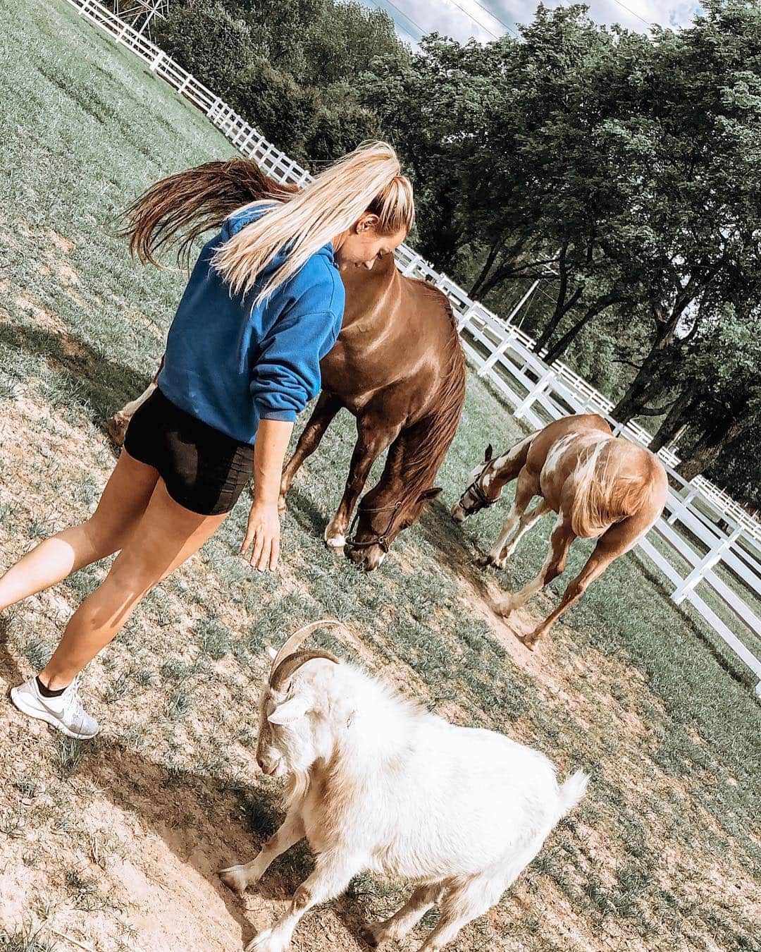 Kindly Myersさんのインスタグラム写真 - (Kindly MyersInstagram)「I did a thing... i added a new horse to the heard. His name is Tex. And he is as big as Texas. Cowboy, Tex and Harley.  This is my happy place.」5月2日 6時19分 - kindlymyers