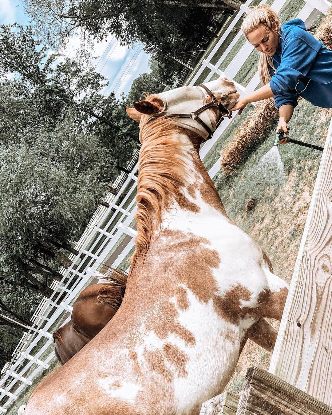 Kindly Myersさんのインスタグラム写真 - (Kindly MyersInstagram)「I did a thing... i added a new horse to the heard. His name is Tex. And he is as big as Texas. Cowboy, Tex and Harley.  This is my happy place.」5月2日 6時19分 - kindlymyers