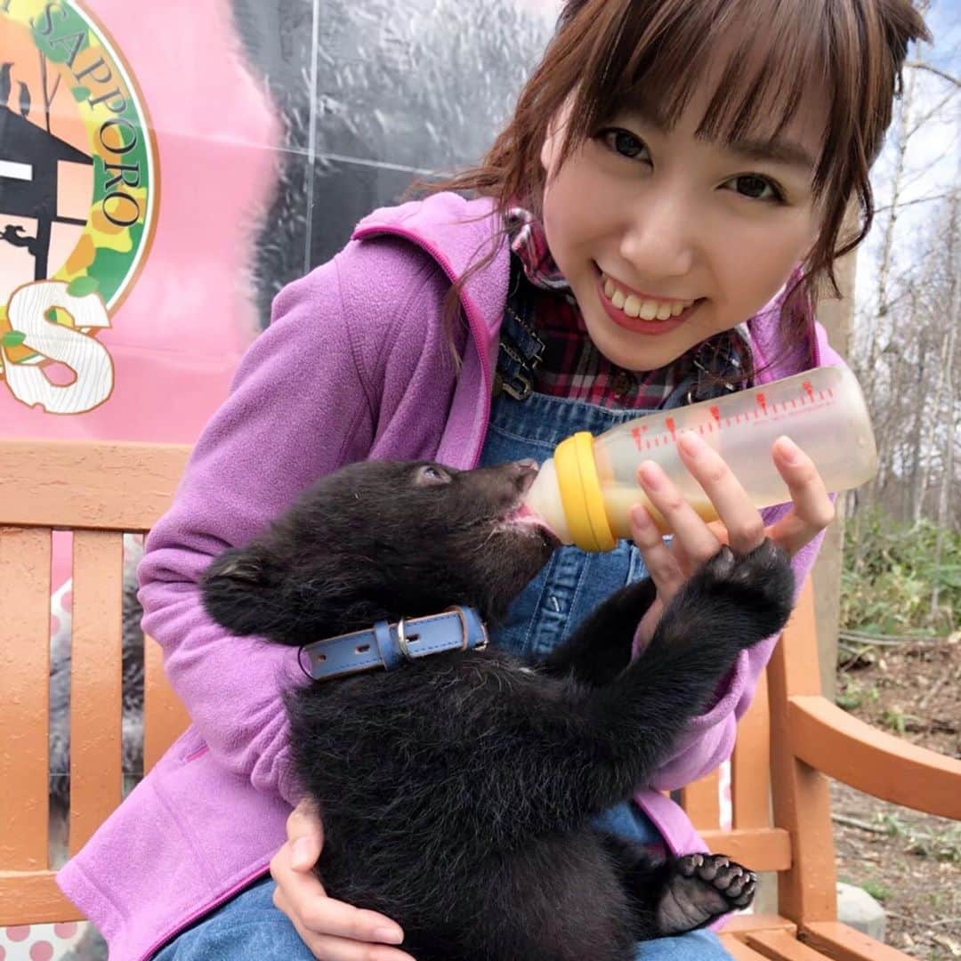 北海道テレビ「イチオシ！モーニング」さんのインスタグラム写真 - (北海道テレビ「イチオシ！モーニング」Instagram)「今日のイマコレは、 小俣さんと藤尾さんが、ノースサファリに行ってきました。 可愛い！ 可愛すぎる動物たちが沢山出ますよ！ こんな写真も撮れちゃうんです！ 是非、チェックしてみてくださいね。 、 #イチモニ #htb #小俣彩織 #オクラホマ #オクラホマ藤尾 #藤尾仁志 #もふもふ  @northsafarisapporo」5月2日 6時24分 - htb_ichimoni