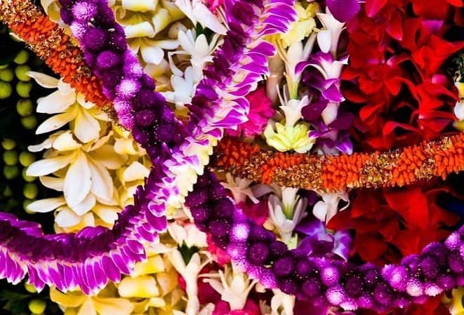 Lanikai Bath and Bodyさんのインスタグラム写真 - (Lanikai Bath and BodyInstagram)「Aloha and Happy Lei Day 🌺  All around the world, people are celebrating May Day-while in Hawai’i, we have Lei Day! This is our holiday celebrating our culturally iconic symbol of Aloha- the lei!」5月2日 7時17分 - lanikaibathandbody