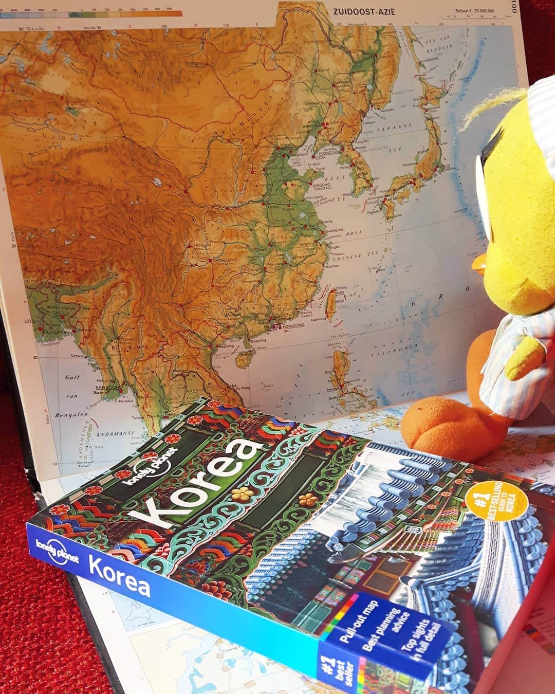 Little Yellow Birdさんのインスタグラム写真 - (Little Yellow BirdInstagram)「I'm so excited!! That itch I had a few days ago was in fact the travelbug: high time for a new adventure! Next week I'll be off to South Korea!!!✈ #littleyellowbird #tweety #tweetykweelapis #adventures #yellow #bird #travelbug #travel #traveling #wanderlust #southkorea #zuidkorea #seoul #reiskriebels #itch #excited #preparing #reading #lonelyplanet #asia #aroundtheworld #stuffedanimalsofinstagram #plushiesofinstagram」5月1日 22時39分 - tweetykweelapis