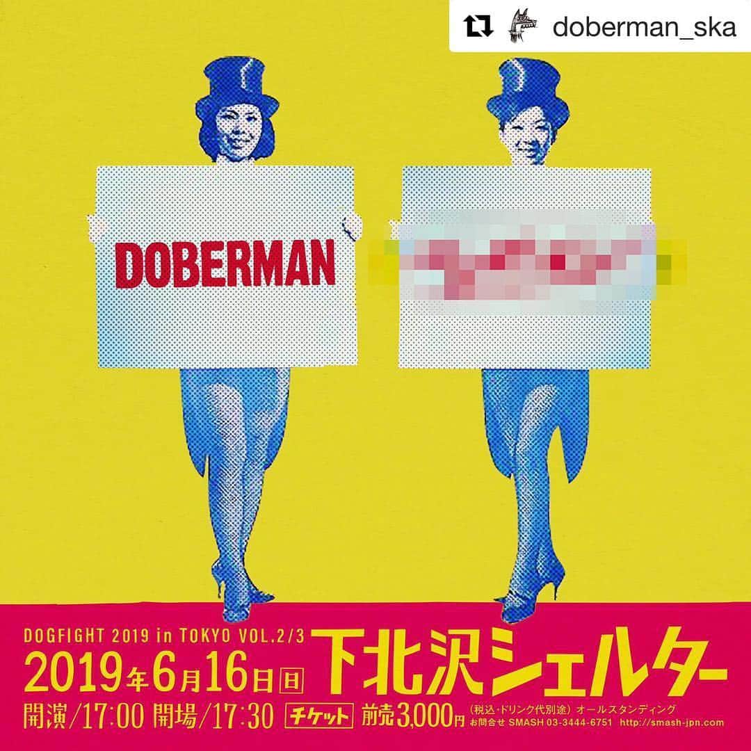 シーサーさんのインスタグラム写真 - (シーサーInstagram)「・ 5月18日にスペシャルなバンド発表だYo!! 初対バン♬ パーティーしようぜぃ！ ピス！ #Repost @doberman_ska ・・・ DOGFIGHT 2019 in TOKYO VOL.2 ・ ドキドキ！ドキドキ！ ・ チケットゲットしといてね！ ・ 20周年を迎えメンバー増強したDOBERMANが新たなる世界観の構築を目論み、 ゲストを迎えてのガチンコ2番勝負!! 2019年、下北沢SHELTERにて2回目の開催が決定!! ・ 2019/6/16(日) ・ 東京 / 下北沢SHELTER ・ ※前売り¥3,000- (スタンディング・税込・1ドリンク代別途) ・ open 17:00 start 17:30 ・ DOBERMAN ✖️ ゲスト後日発表 . ■チケットWEB予約 オフィシャルホームページにて受け付けています！ ・ #doberman_ska」5月1日 22時52分 - __seasir__