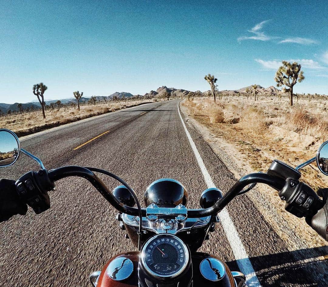 Harley-Davidsonさんのインスタグラム写真 - (Harley-DavidsonInstagram)「Chasin’ that long, white line. 🦅  #HarleyDavidson #FindYourFreedom #BehindBars #HeritageClassic」5月1日 22時56分 - harleydavidson