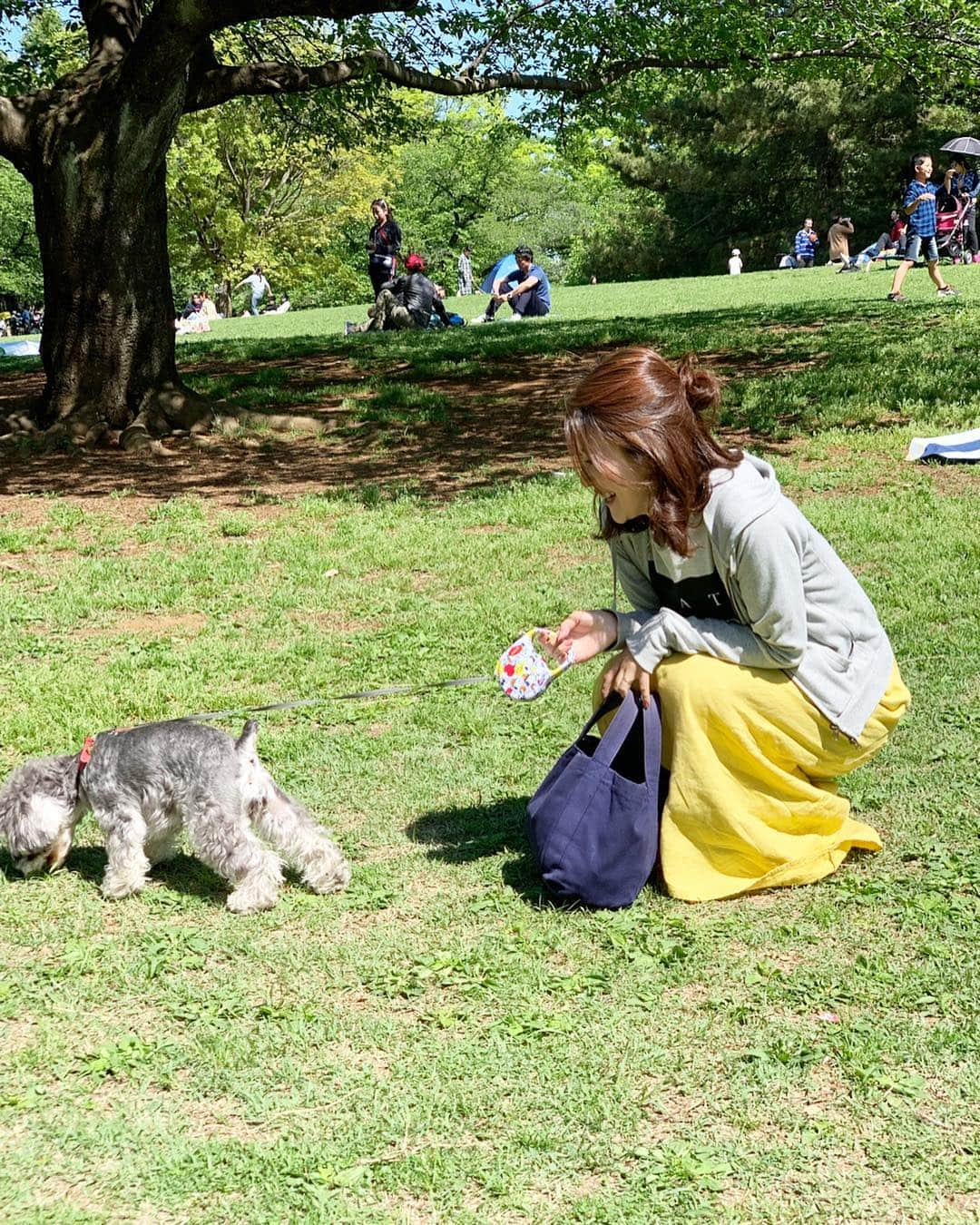 Sayuri（岸岡小百合）さんのインスタグラム写真 - (Sayuri（岸岡小百合）Instagram)「* 平成の終わりも家族と楽しい思い出が作れました🐶 ありがとう平成😊宜しくね令和❤️ * #ドッグマラソンin光が丘公園 * こんな癒される大会ないわ🤣‼️ 大型犬から小型犬までわちゃわちゃ走りました♪ * ジルも３キロ完走したよ✨ 遊んでくれたみんな。 ありがとうございました♪ #東京女子部 #ドッグマラソン #ドッグマラソンin光が丘公園  #光が丘公園 #ミニチュアシュナウザー」5月1日 22時56分 - sayuuringo