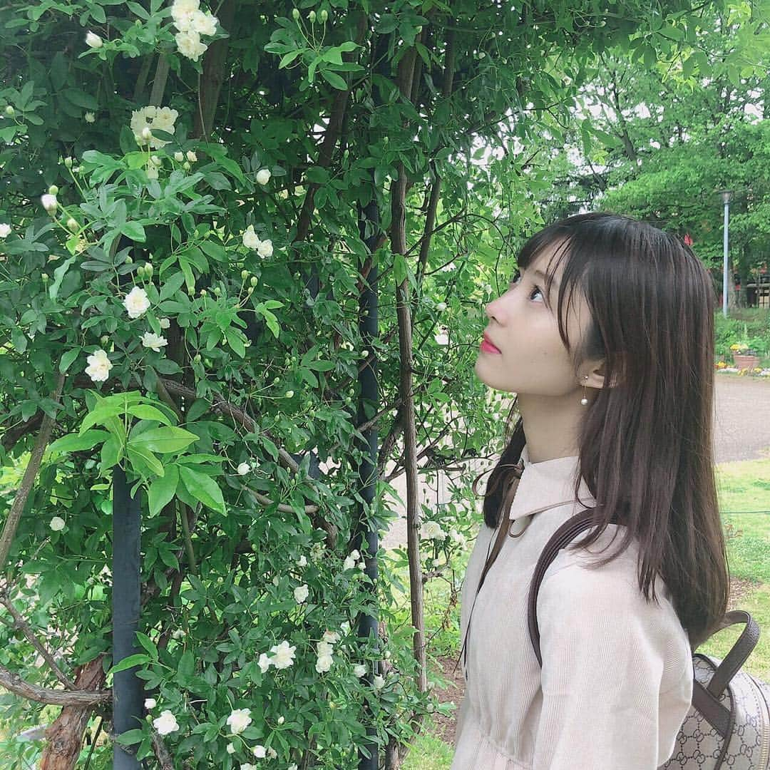 松川星さんのインスタグラム写真 - (松川星Instagram)「令和になりましたね〜🌸」5月1日 23時13分 - akarin__rin