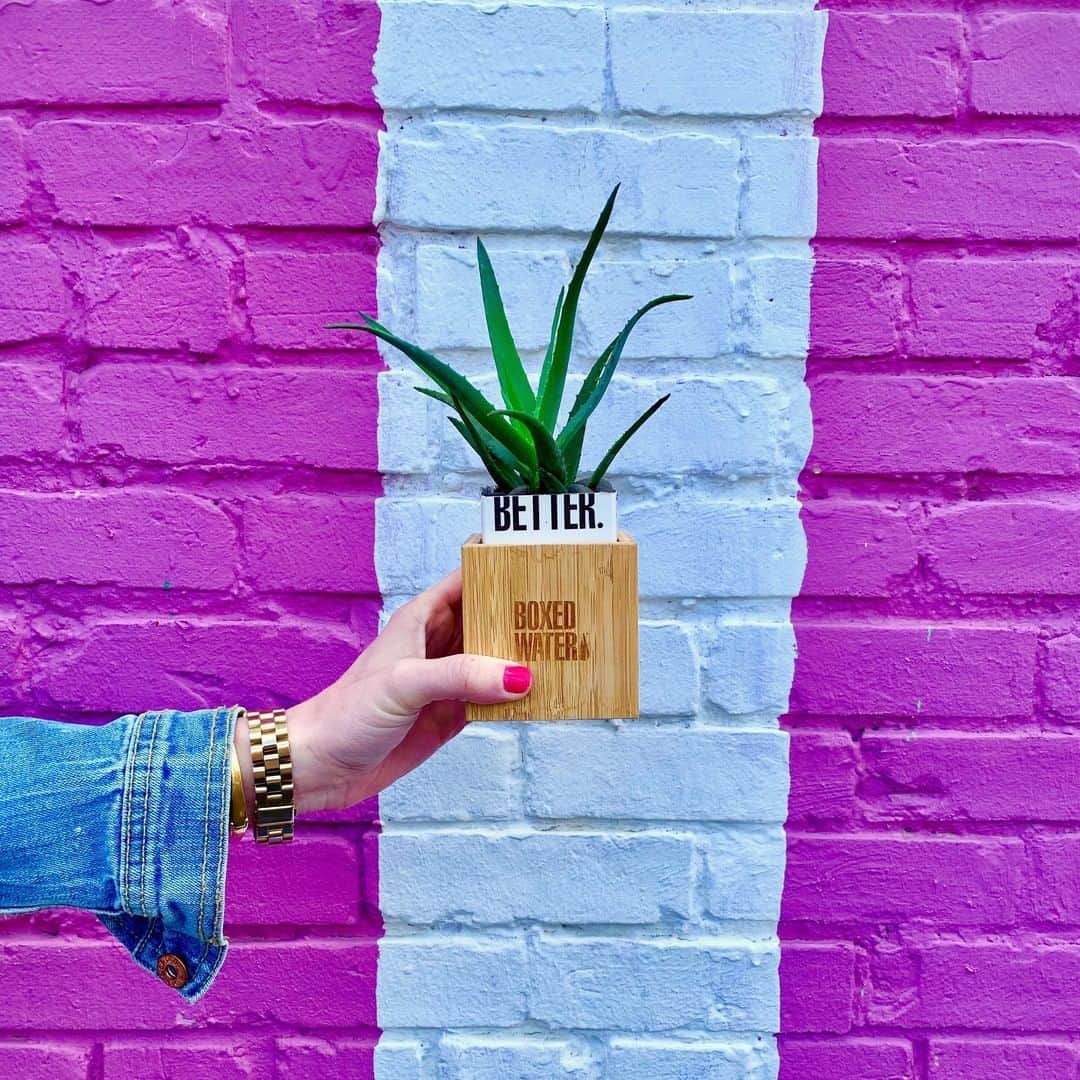 のインスタグラム：「So long April showers, bring on the May flowers 🌱 #BoxedWater #BoxedWaterIsBetter #Sustainability #Plant #Nature #Succulent #Bloom #Upcycling」