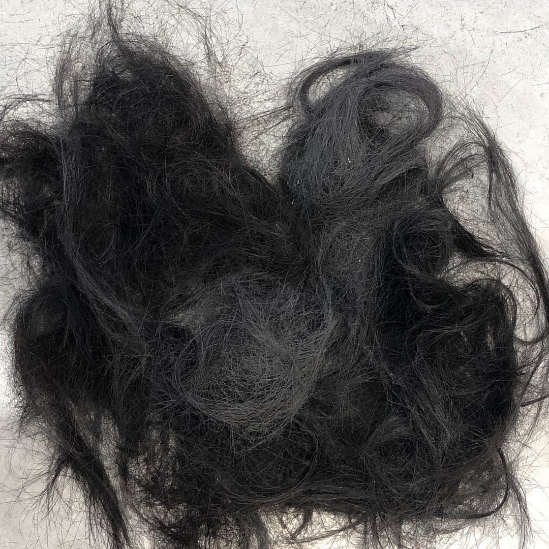 朝倉ゆりさんのインスタグラム写真 - (朝倉ゆりInstagram)「#令和カット してきました！ @yamamoto__takuya さんが切ってくださいましたよ✂️ #ショートヘア #ショートボブ #令和 #hair」5月1日 23時54分 - eb_loverinko
